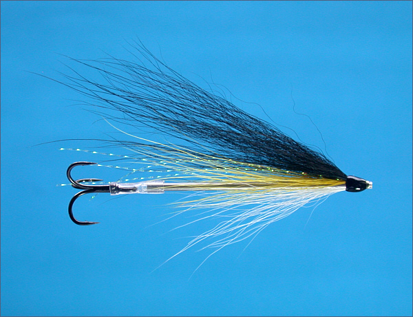 Black and Yellow Tube Fly