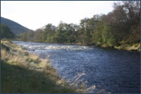 Fishing River Avon