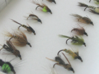 Flies online - trout nymphs