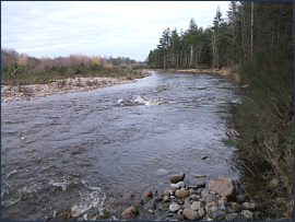 River Nairn - salmon fishing