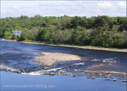 The Weir, Inverness Angling Club water, River Ness.