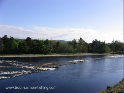 The Weir Pool, River Ness salmon fishing