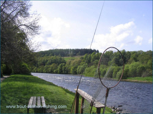 Salmon fishing at the Sandy Hole, River Spey