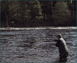 Spey Casting