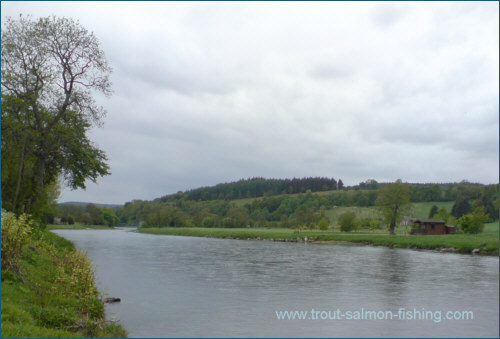 Wester Elchies - salmon fishing on Spey