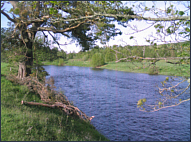 Sea Trout Fishing Pool, River Spey