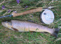 trout fishing Scotland