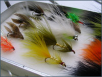trout lures