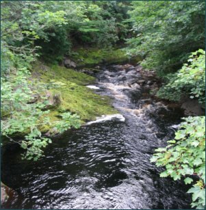 Berriedale River