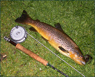 trout fishing Scotland