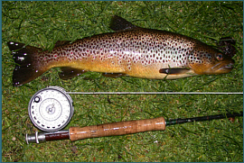 Trout fishing in the south of Scotland