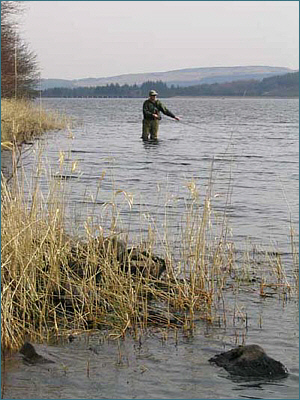 Bank Fly Fishing on Carron Valley Fishery