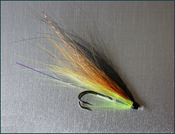 salmon tube fly with double hook
