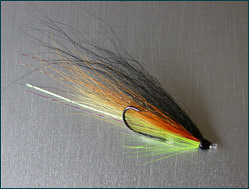 salmon tube fly double hook with points up
