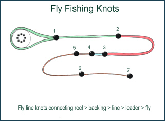 Tying Fly Fishing Knots