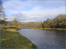Scottish Salmon Fishing 
