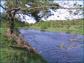 River Spey - Little Stream