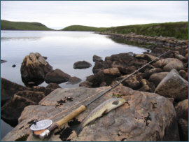 a trout from the Corrie Loch