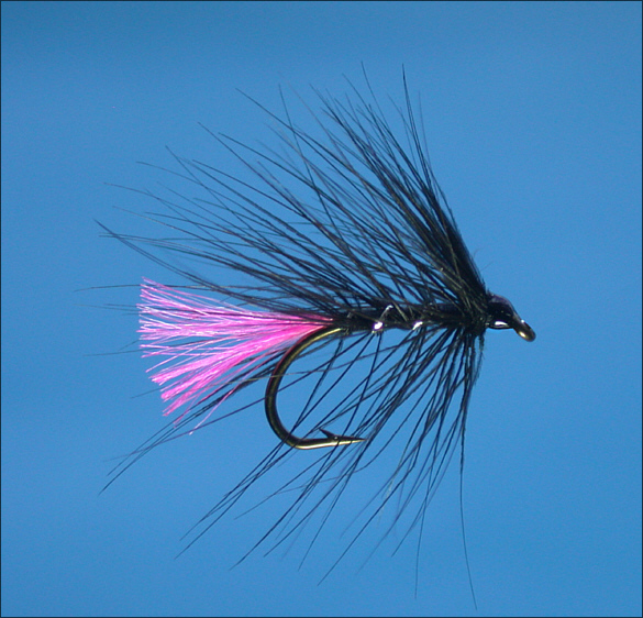 Simple Loch Trout Fly