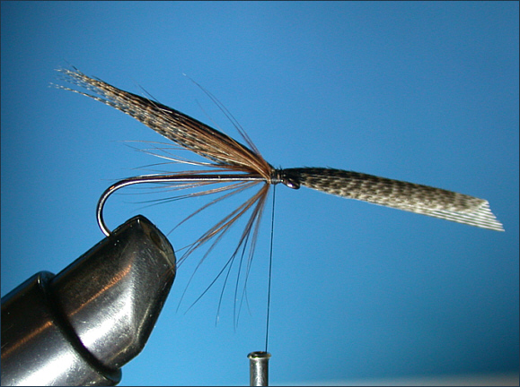 Mallard and Silver sea trout fly - mallard wing