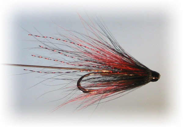 Needle Tube Red Shrimp