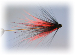 Needle Tube Shrimp