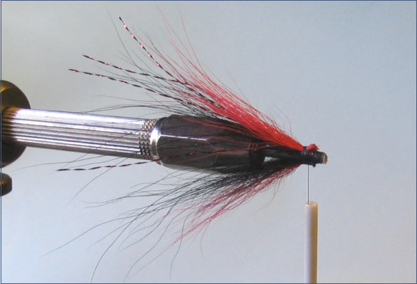 Fly Tying - Needle Tube Shrimp 7