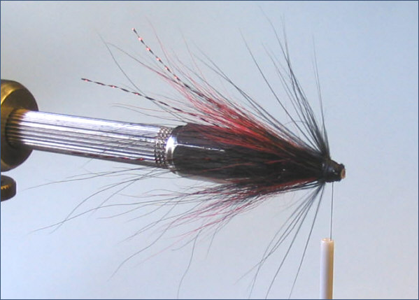 Fly Tying - Needle Tube Shrimp 8