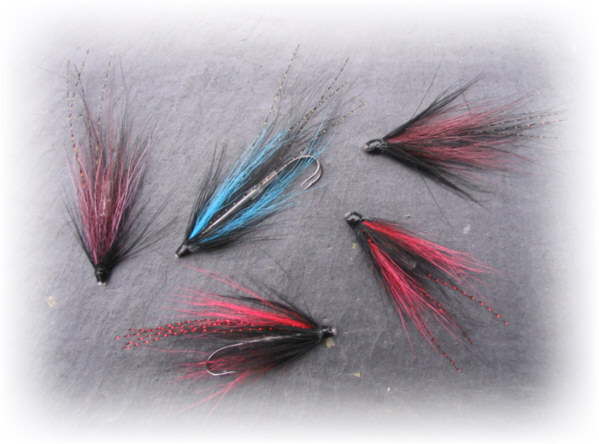 Needle Tube Shrimps