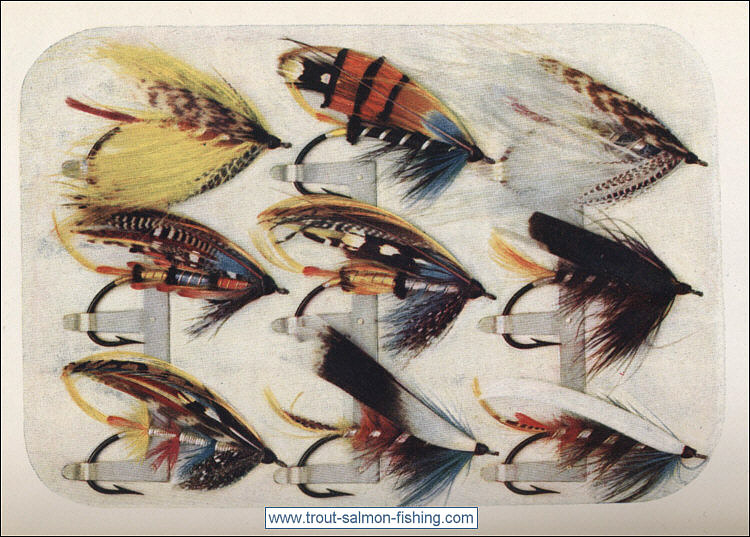 Salmon Fly Pattern
