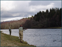 Grantown Salmon Fishing