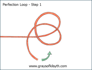 The Perfection Loop - Step One
