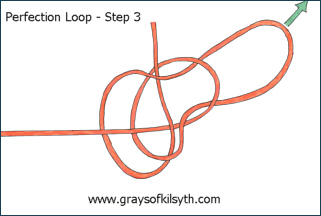 The Perfection Loop - Step Three
