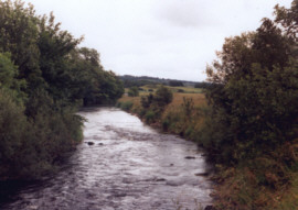 Sea Trout Fishing Central Scotland