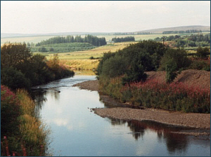River Allan at Greeenloaning