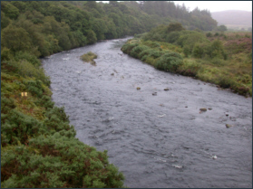 salmon fishing - River Borgie