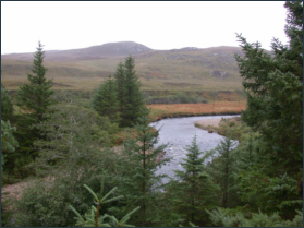 River Borgie