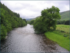 salmon and sea trout fishing on the River broom