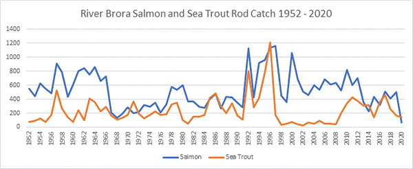 River Brora Salmon Catches