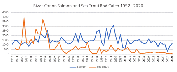 River Conon Salmon Catches