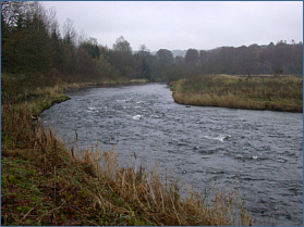 River Don at Backhill