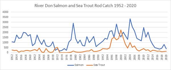 River Don Salmon Catches