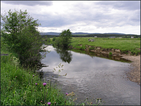River Dulnain,middle course