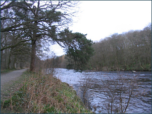 River Earn Fishing