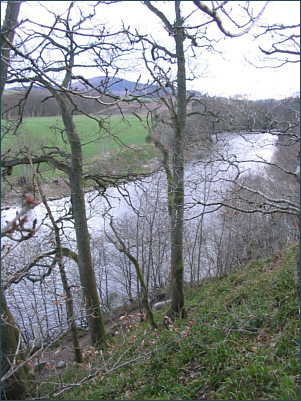 Salmon and Sea Trout Fishing River Earn