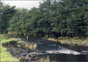 Endrick Sea Trout Fishing