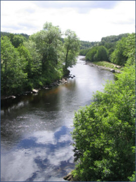 River Findhorn - salmon and sea trout fishing