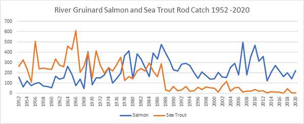 River Gruinard Salmon Catches