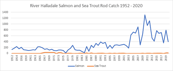 River Halladale Salmon Catches