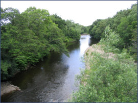 River Nairn - salmon and sea trout fishing